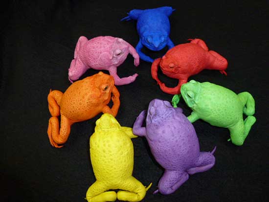 A Group Coloured Stuffed Toads