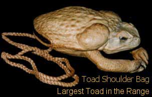 Cane Toad Wallet Australia